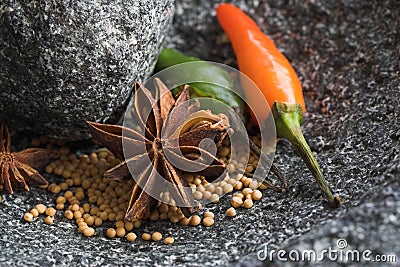 Spices in stone mortar Stock Photo