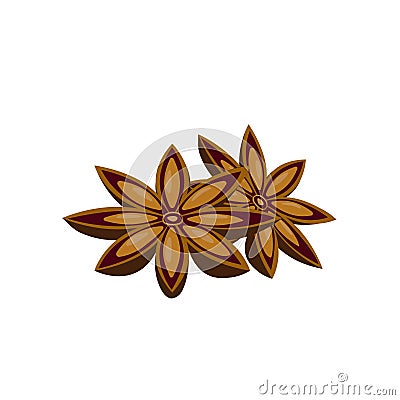 Anise stars spice close up illustration Vector Illustration