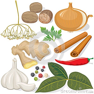 Spices and vegetables for cooking Vector Illustration