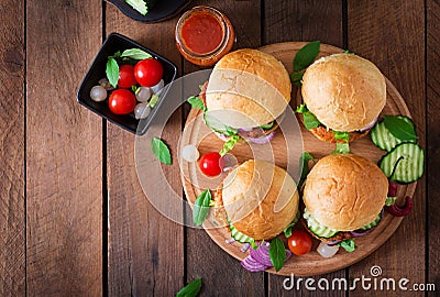 Spicy chicken burgers with tomato and eggplant - sandwich. Stock Photo