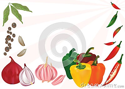 Spicy flavor Vector Illustration