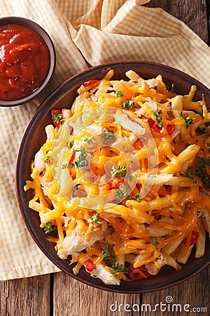 Spicy french fries with cheddar cheese, chili pepper and chicken Stock Photo