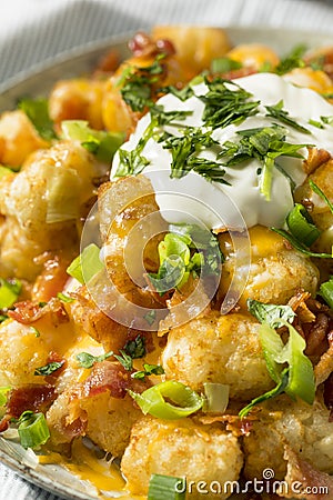 Spicy Homemade Loaded Taters Tots Stock Photo