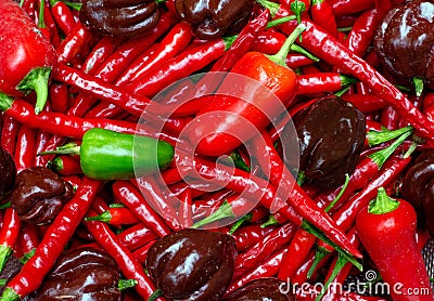 Spicy peppers for cooking Stock Photo