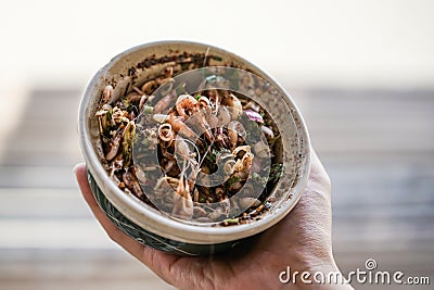 Spicy salad small shrimp prepare for serving, Yum Kung Then Thai Stock Photo