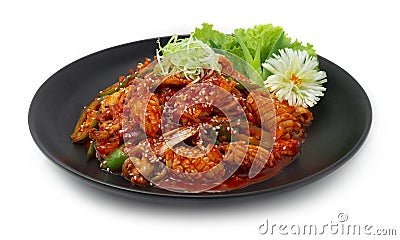Spicy Stir Fried Squids with Korean Sauce Ojingeo Bokkeum Korean Food Stock Photo