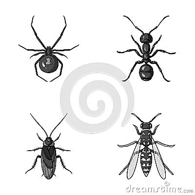 Spider, ant, wasp, bee .Insects set collection icons in monochrome style vector symbol stock illustration web. Vector Illustration