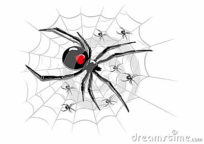 Spider on codweb Vector Illustration
