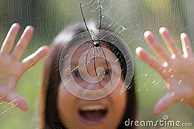 Spider fear Stock Photo