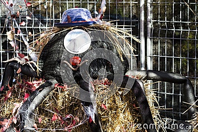 Spider Halloween Character with a blue hat Stock Photo