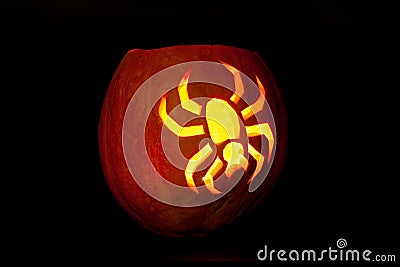 Spider Halloween pumpkin Stock Photo