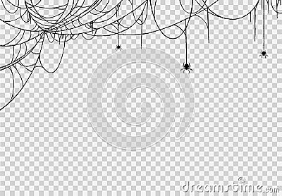 Spider hanging from spiderwebs isolated png or transparent texture, Halloween party background,blank space for text,element Vector Illustration