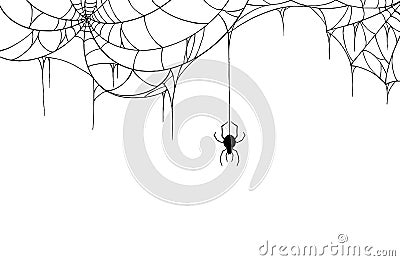 Spider hanging from spiderwebs on white background, Hallowed banner isolated on night background texture, vector illustration Vector Illustration