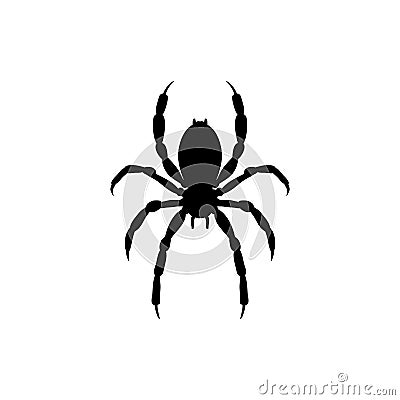 Spider insect black silhouette animal Vector Illustration