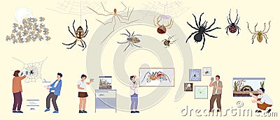 Spider Insect Flat Set Vector Illustration