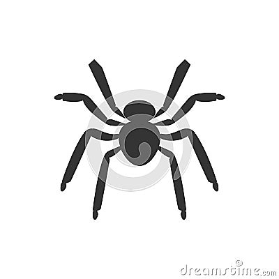 Spider Insect icon Vector Illustration