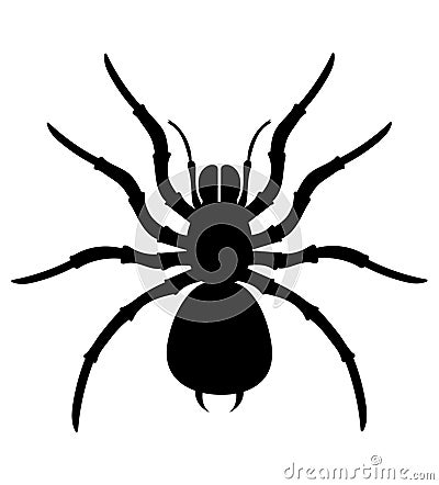 spider insects wildlife animals vector illustration Vector Illustration