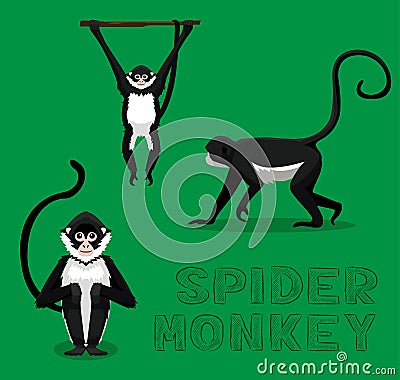 Spider Monkey Cartoon Vector Illustration Vector Illustration