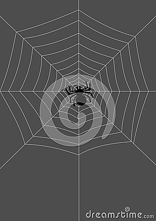 Spider on the net Vector Illustration