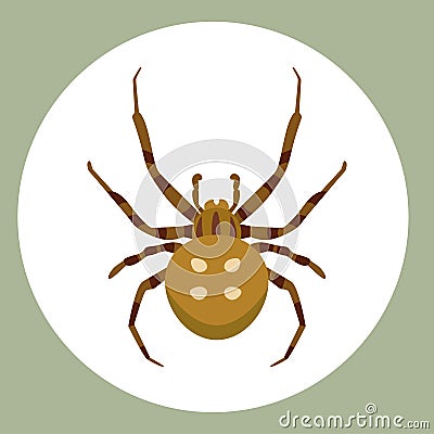 Spider silhouette arachnid fear graphic flat scary animal poisonous design nature phobia insect danger horror tarantula Vector Illustration