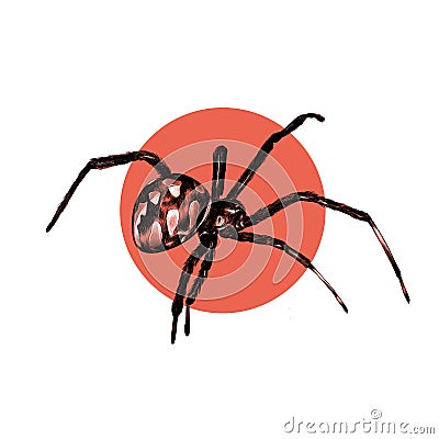 Spider sketch drawing Stock Photo