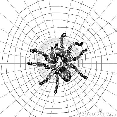 Spider sketch vector set of illustration. Hand drawn style picture. Vector Illustration