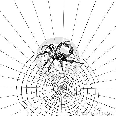 Spider sketch vector set of illustration. Hand drawn style picture. Vector Illustration