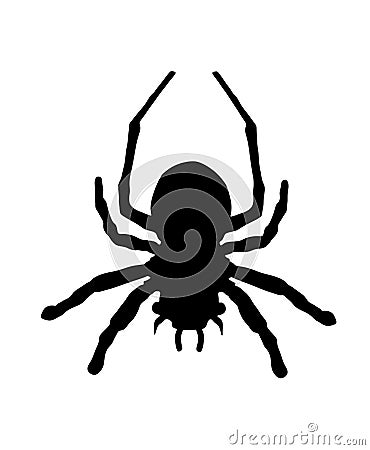 Spider symbol. Tarantula vector silhouette isolated on white background. Arachnophobia. Vector Illustration