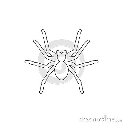 spider tarantula icon. Element of insect for mobile concept and web apps icon. Thin line icon for website design and development, Stock Photo