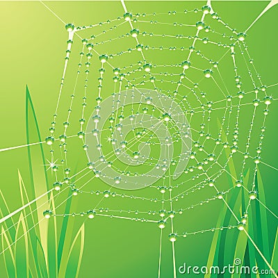 Spider web Vector Illustration