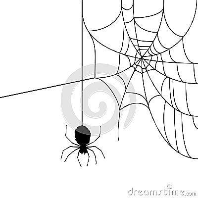 Spider web Vector Illustration