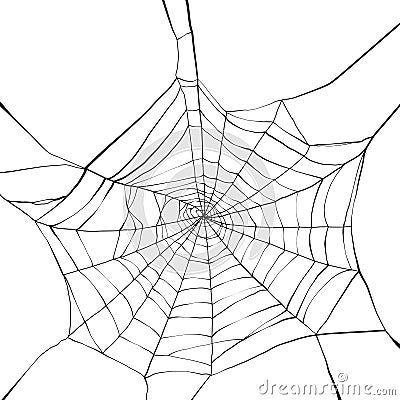 Spider web Vector Illustration