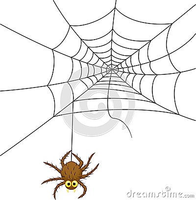 Spider web cartoon Vector Illustration