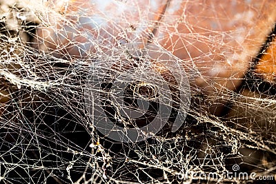 Spider web on the ceiling as a background Stock Photo