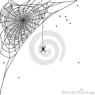 Spider web Vector Illustration