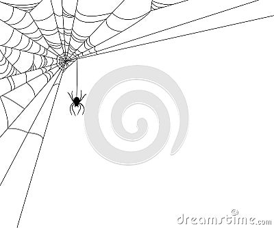 Spider Web Illustration Vector Illustration