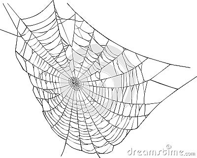 Spider web illustration Stock Photo