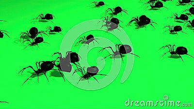 Spiders On Green Background. Creepy Crawling Cartoon Illustration