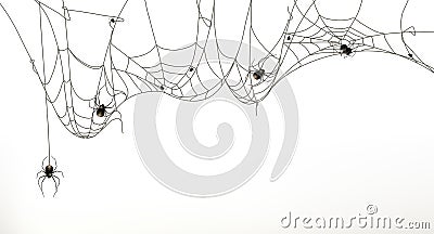 Spiders and spider web Vector Illustration