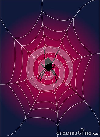 Spiderweb Vector Illustration