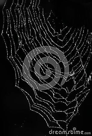 Spiderweb on black background Stock Photo