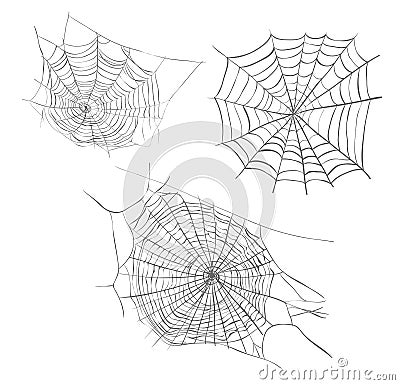 Spiderweb sketch vector illustration. Vector Illustration