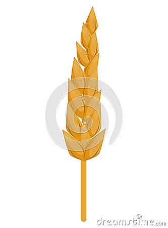 spike wheat golden Vector Illustration