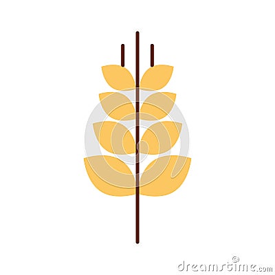 Spike wheat isolated icon Vector Illustration