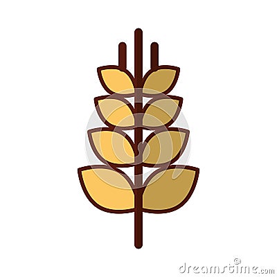 Spike wheat isolated icon Vector Illustration
