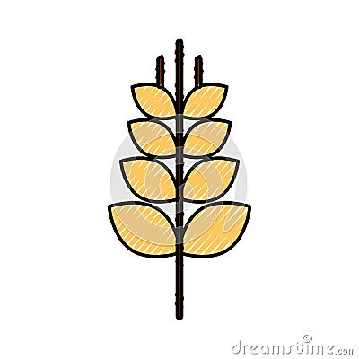 Spike wheat isolated icon Vector Illustration