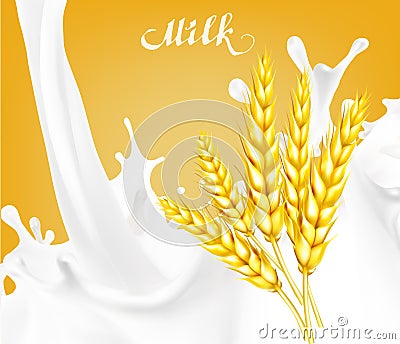 spikelet wheat vector illustration milk Vector Illustration