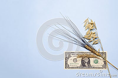 money and cereals. expensive crop, the cost of bread. Stock Photo