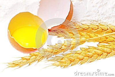 Spikelets of wheat with egg on flour spillage.Isolated. Stock Photo