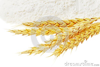 Spikelets of wheat on flour spillage. Stock Photo